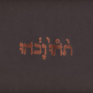 GODSPEED YOU! BLACK EMPEROR - slow riot for new zero kanada - VINYL LP (black)