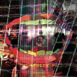 ANIMAL COLLECTIVE - centipede hz - VINYL 2xLP (black)
