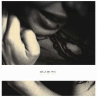 BIRDS IN ROW - you, me and the violence - VINYL LP (cloudy clear)