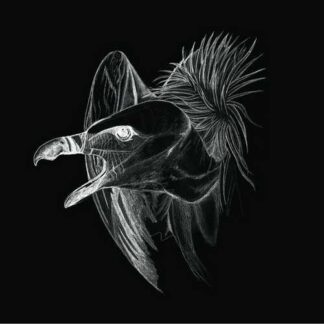 BURIED AT SEA - migration