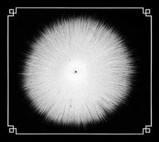CASTEVET - obsian - CD digipack
