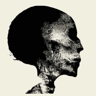CHAOS ECHOES - transient - CD digisleeve