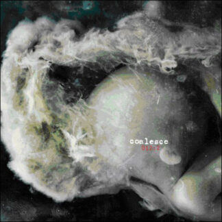 COALESCE - 012 : revolution in just listening - CD