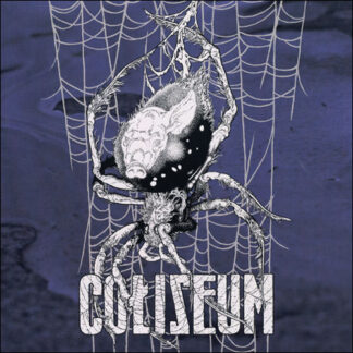 COLISEUM - true quiet - VINYL 7INCH (blue)