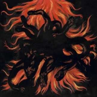 DEATHSPELL OMEGA - paracletus - VINYL LP (black)