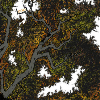 ENO - must correspond in pattern