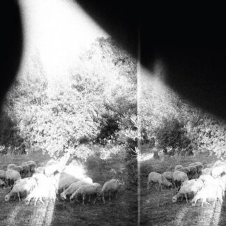 GODSPEED YOU! BLACK EMPEROR - asunder, sweet and other distress - CD digisleeve