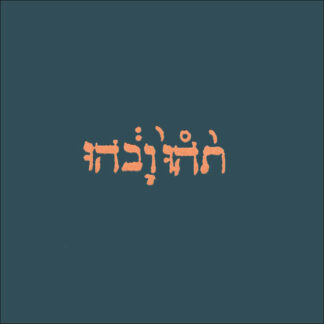 GODSPEED YOU! BLACK EMPEROR - slow riot for new zero kanada - CD digisleeve