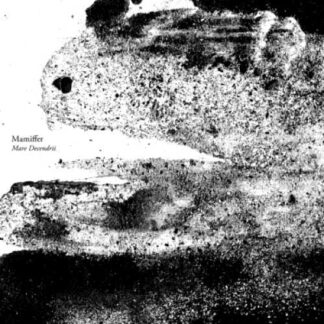 MAMIFFER - mare decendrii