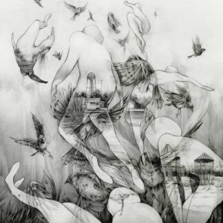 MONO - the last dawn - CD digisleeve