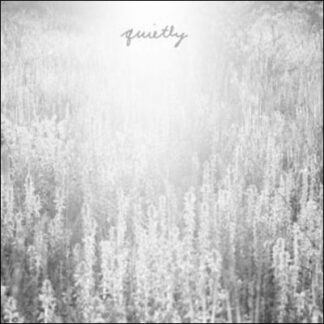 MOUTH OF THE ARCHITECT - quietly - CD digipack
