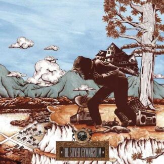 OKKERVIL RIVER - the silver gymnasium