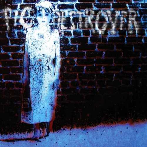 PIG DESTROYER - book burner - VINYL LP (custom)