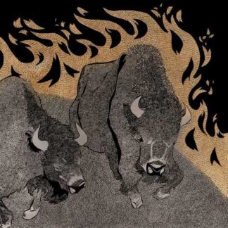 PINE BARRENS - kingmaker - VINYL LP (black)