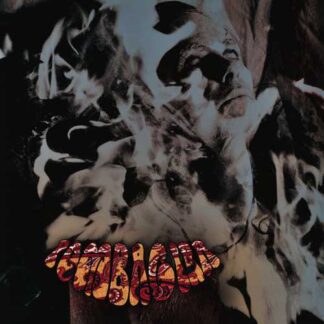 POMBAGIRA - flesh throne press