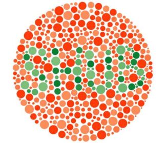 SHUB - shub if you can't read shub, bad you're colorblind - CD