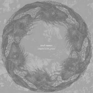 TORCH RUNNER - commited - CD