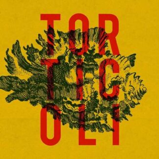 TORTICOLI - torticoli