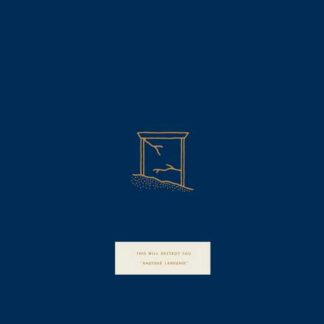 THIS WILL DESTROY YOU - another language - VINYL 2xLP (sea blue)