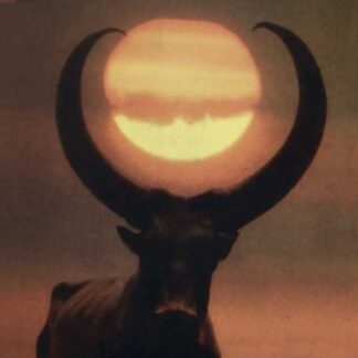 ULVER - shadows of the sun - CD