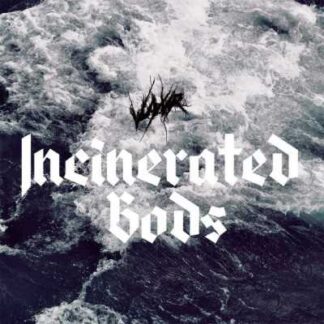 VUYVR - incinerated gods - VINYL LP (black)