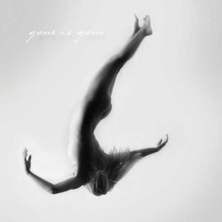 GONE IS GONE - gone is gone - VINYL LP (black)