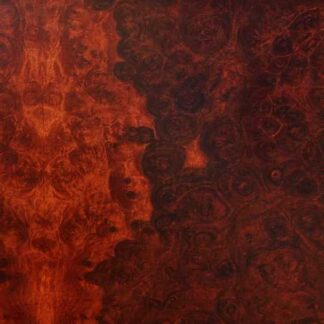 TRUE WIDOW - avvolgere - CD digipack