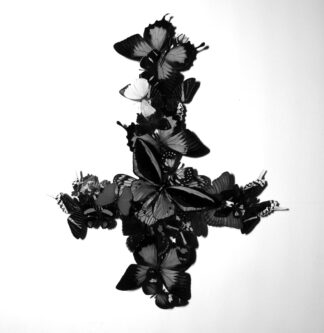 MONARCH - never forever - CD digisleeve