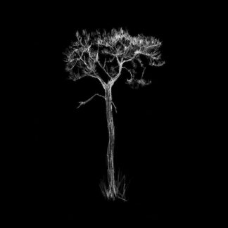 HARPON - split with BAXTER STOCKMAN - VINYL 7INCH (black)