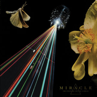 MIRACLE - the strife of love in a dream - CD