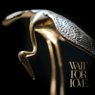 PIANOS BECOME THE TEETH - wait for love - VINYL LP (clear smoke)