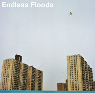 ENDLESS FLOODS - II - VINYL LP (clear)