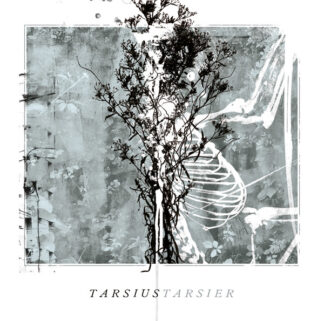 TARSIUS TARSIER - ceremonia de atadura de manos - CD
