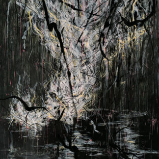 SUMAC - love in shadow - CD digisleeve