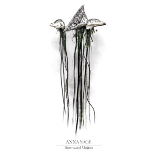 ANNA SAGE - downward motion - VINYL LP (black)