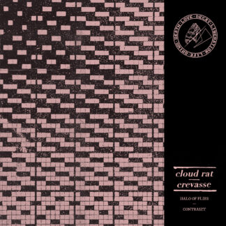 CLOUD RAT - split with CREVASSE - VINYL 7INCH (solid purple)
