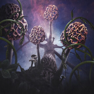 BLUT AUS NORD - hallucinogen - VINYL 2xLP (purple marbled and pink marbled)