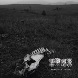 IDRE - unforgiving landscapes - VINYL LP (black)