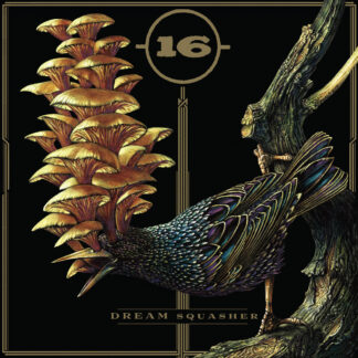 16 - dream squasher - VINYL LP (black)