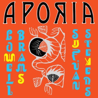 STEVENS, SUFJAN - aporia (with LOWELL BRAMS) - VINYL LP (solid yellow)