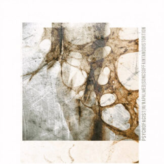 PSYCHOFAGIST - songs of faint and distortion - CD digipack