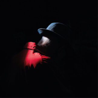RIAH - autumnalia - VINYL LP (black)