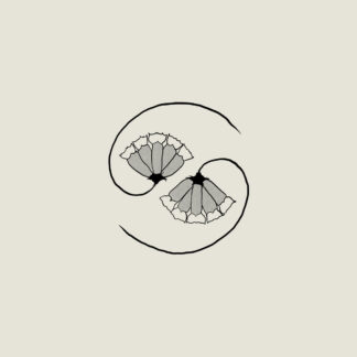 GODSPEED YOU! BLACK EMPEROR - g_d's pee at state's end - CD digisleeve