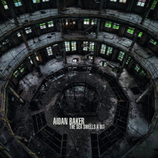 BAKER, AIDAN - the sea swells a bit - VINYL 2xLP (black)