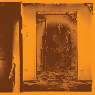 FACS - present tense - VINYL LP (molten metal)