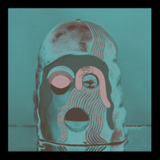 FACS - void moments - VINYL LP (black)