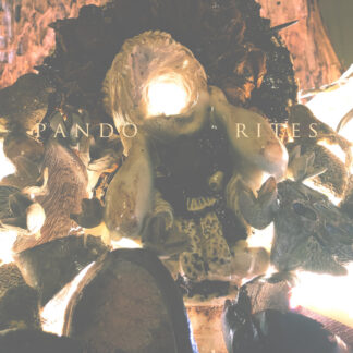 PANDO - rites - CD digipack