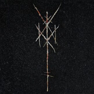 WIEGEDOOD - there's always blood a the end of the road - CD digisleeve