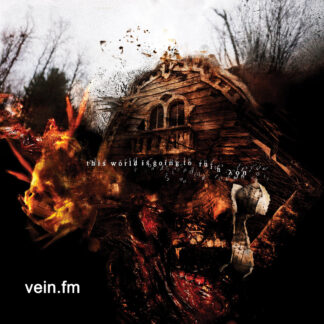 VEIN.FM - this world is going to ruin you - VINYL LP (solid red)