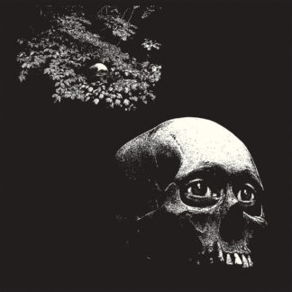 THEE OH SEES - a foul form - VINYL LP (black)
